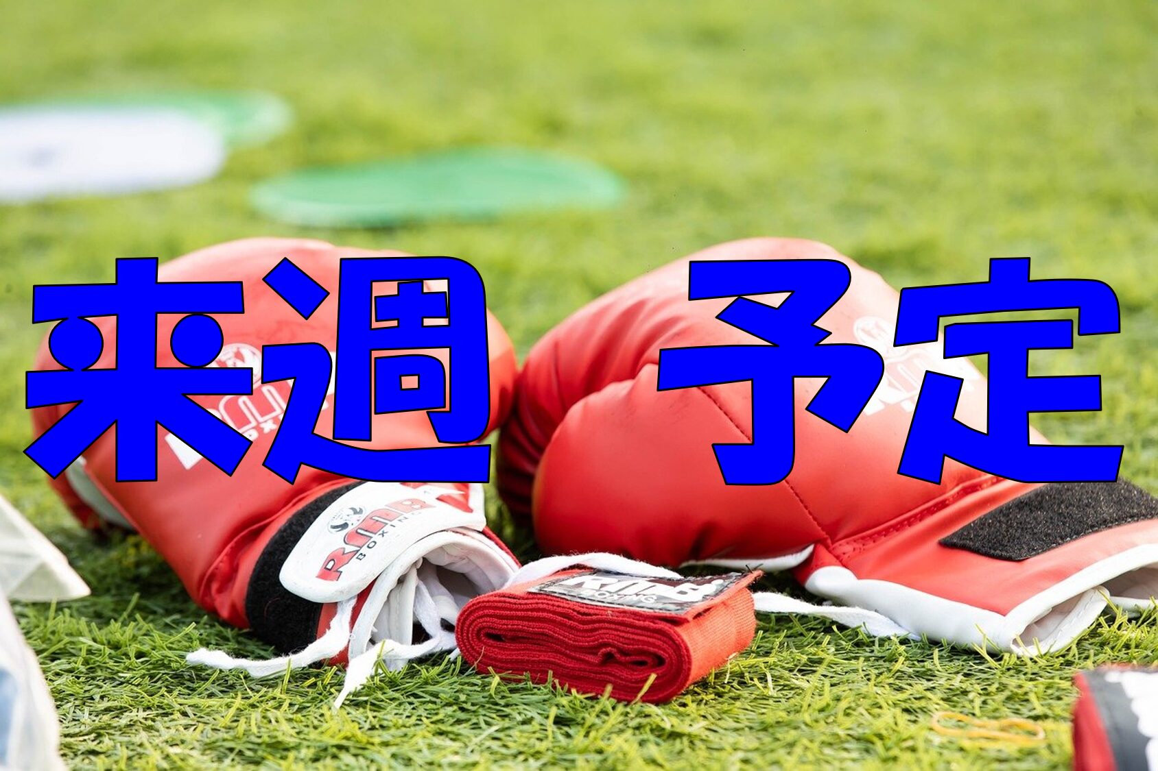 ボクシング　　来週の予定