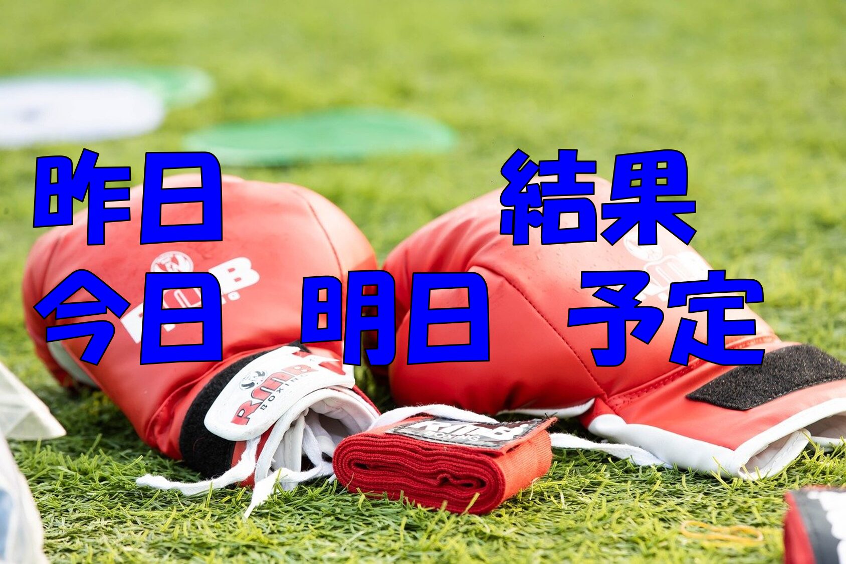 ボクシング　　昨日今日明日の予定結果