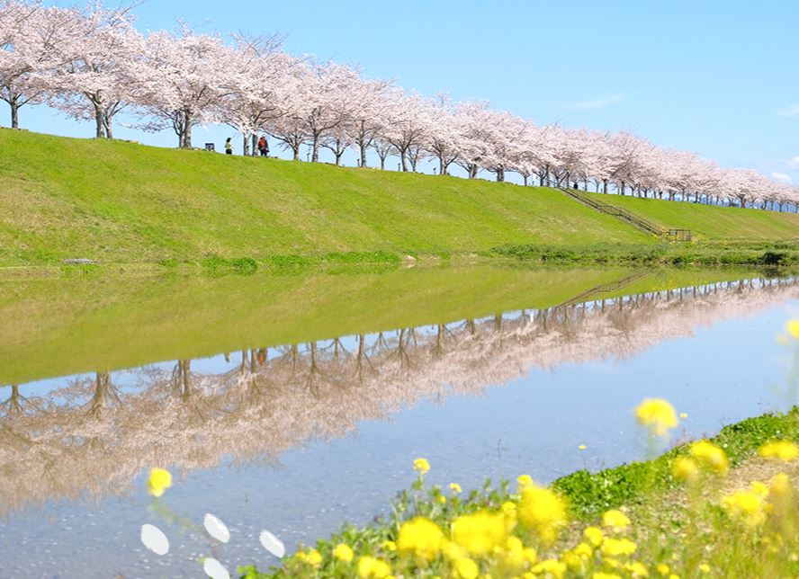 小野市　おの桜づつみ回廊 ニューオープン　新規開店　兵庫県　グルメ