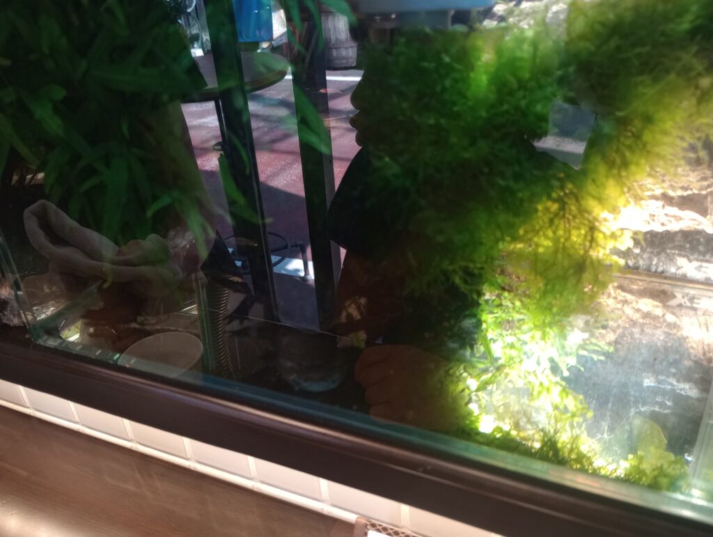 Crepe あまのじゃく 西宮北口店 クレープ