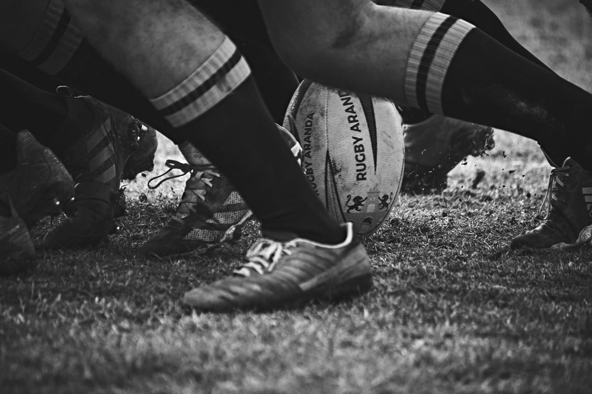 Rugby Match Result Schedule List