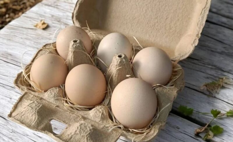 芦屋養鶏場(あしやエッグファーム) 食料販売 完成食品 芦有ドライブウェイ 山岳地域 奥池エリア 奥池町