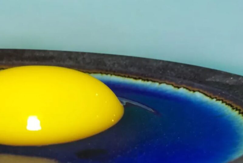 芦屋養鶏場(あしやエッグファーム) 食料販売 完成食品 芦有ドライブウェイ 山岳地域 奥池エリア 奥池町