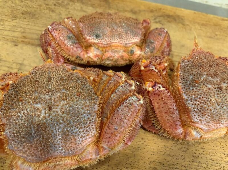 伊予本　高級和食　高級和食　　国道2号　　　　中心街地域　中心街南エリア　公光町　