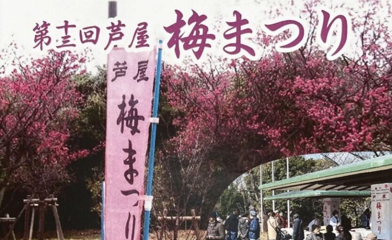 芦屋梅まつり