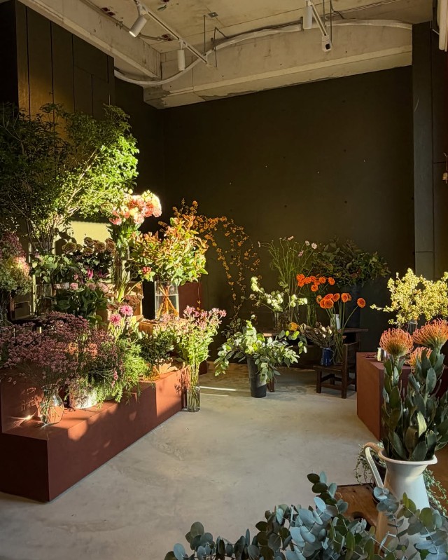 sol.　専門用品　花屋　　鳴尾御影線　花水木通り　　　中心街地域　中心街南エリア　宮塚町　